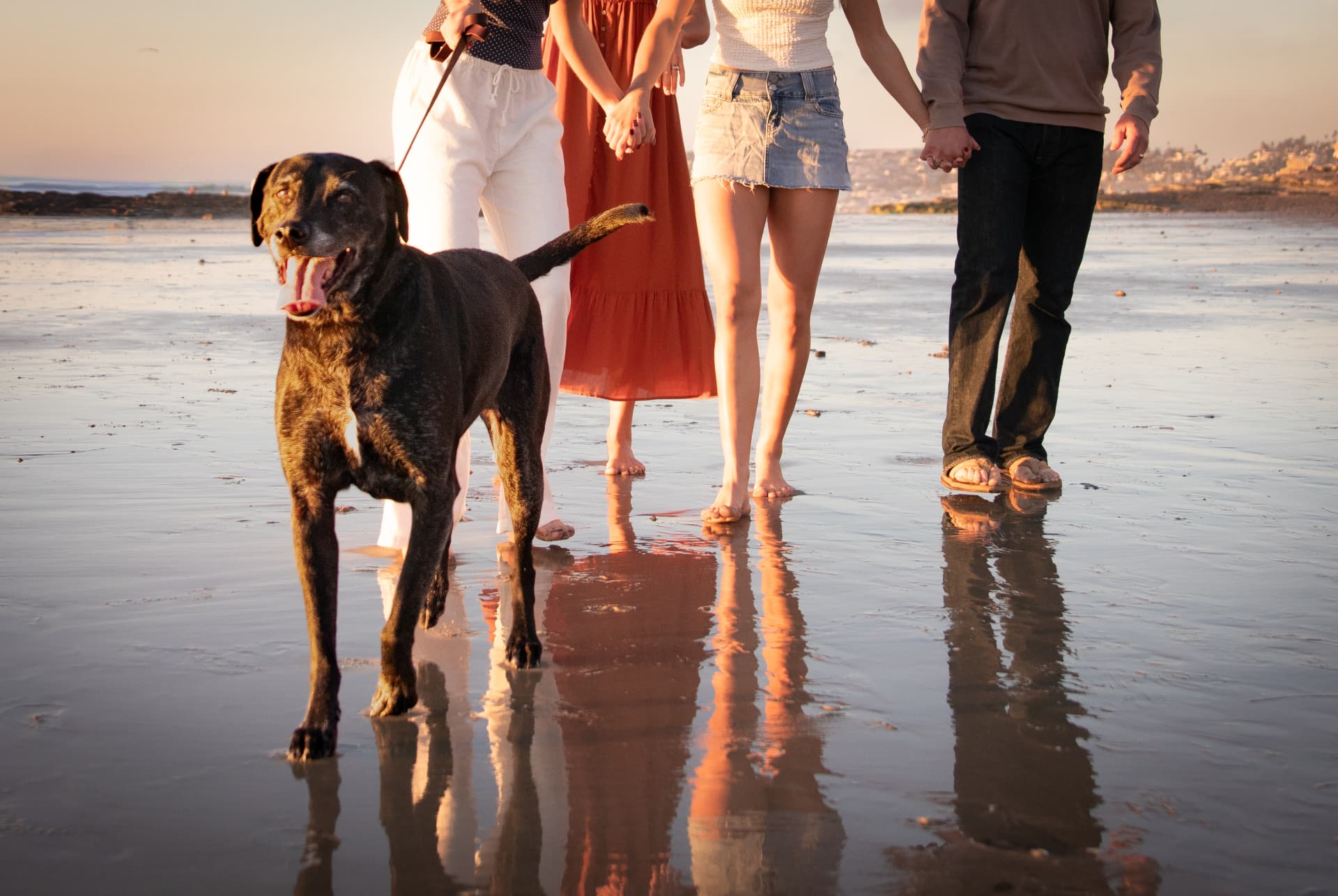 Family walking with their black dog on a wet beach at sunset